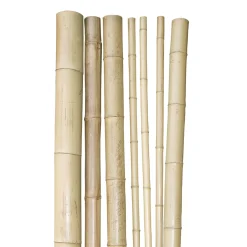 Bambusrohr 200x3-4cm