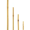 Bambusstab 60 cm