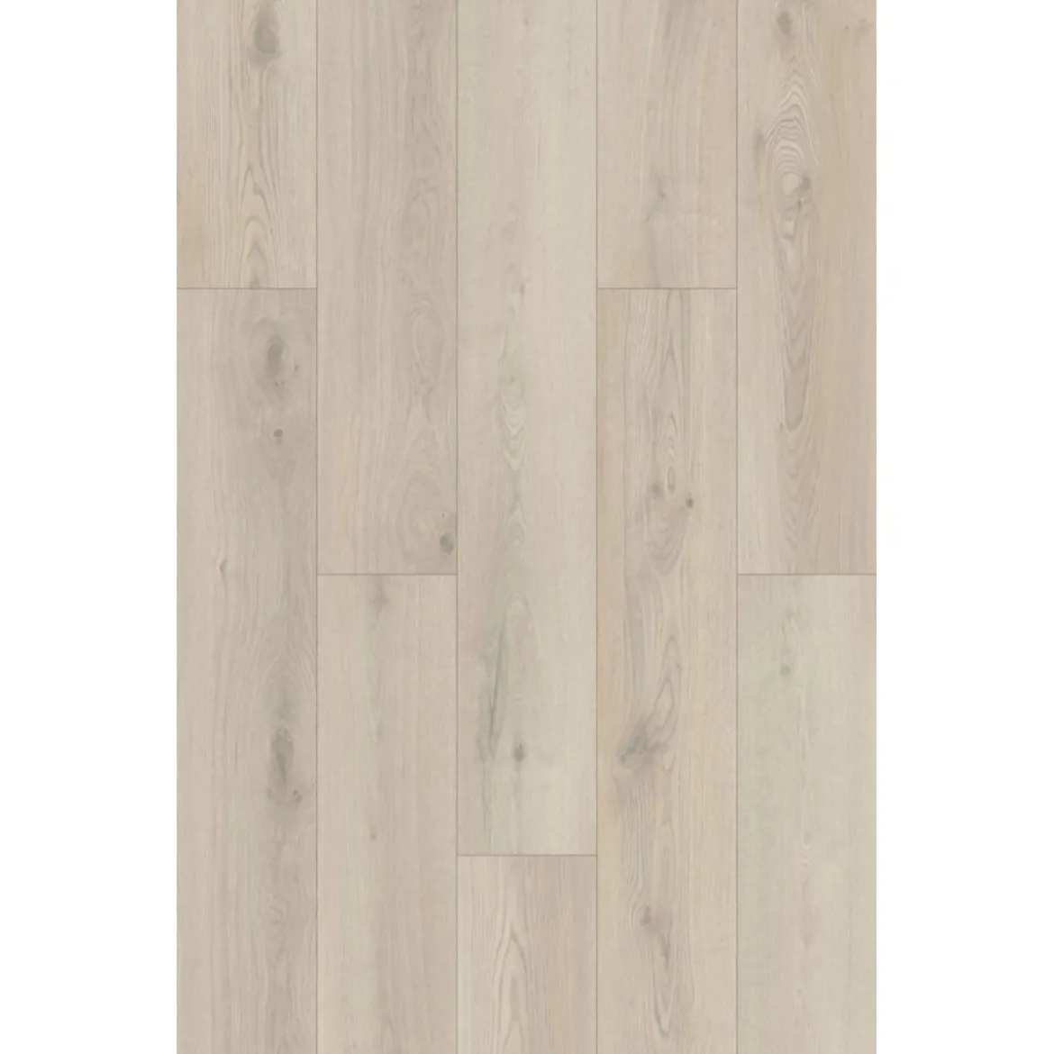 Basic SPC Rigid Designboden Eiche beige 1220x181x3,2