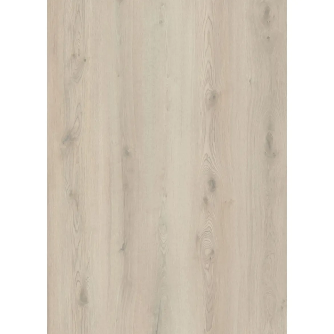 Basic SPC Rigid Designboden Eiche beige 1220x181x3,2