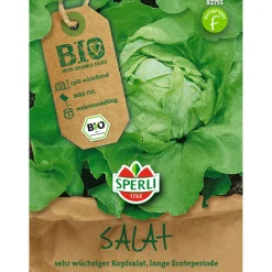 Bio-Kopfsalat