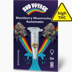 Bud Voyage Hanfsamen Blackberry Moonrocks Auto