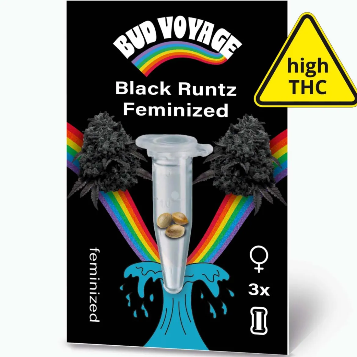 Bud Voyage Hanfsamen Black Runtz Feminisiert