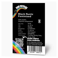 Bud Voyage Hanfsamen Black Runtz Feminisiert