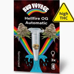 Bud Voyage Hanfsamen Hellfire OG Auto