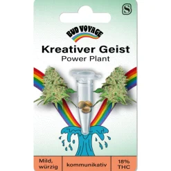 Bud Voyage Hanfsamen Kreativer Geist - Power Plant