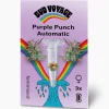 Bud Voyage Hanfsamen Purple Punch Auto