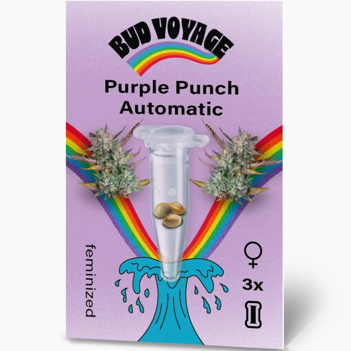 Bud Voyage Hanfsamen Purple Punch Auto