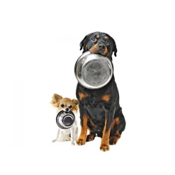 Champs Hundesnack Seezunge 100 g