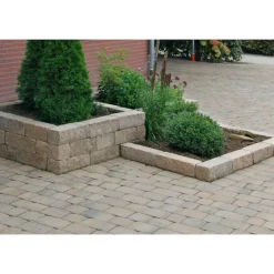 Cup Mauer Muschelkalk 30/10/10 cm PE3