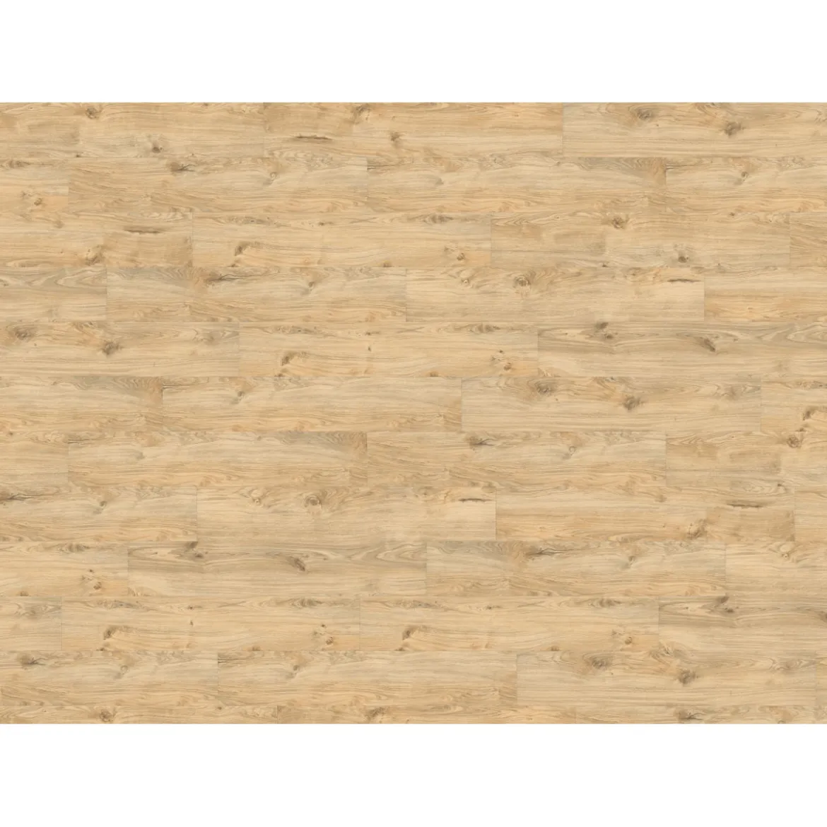 Designboden Hydrostar Eiche Alba 128,2 x 23,5 cm
