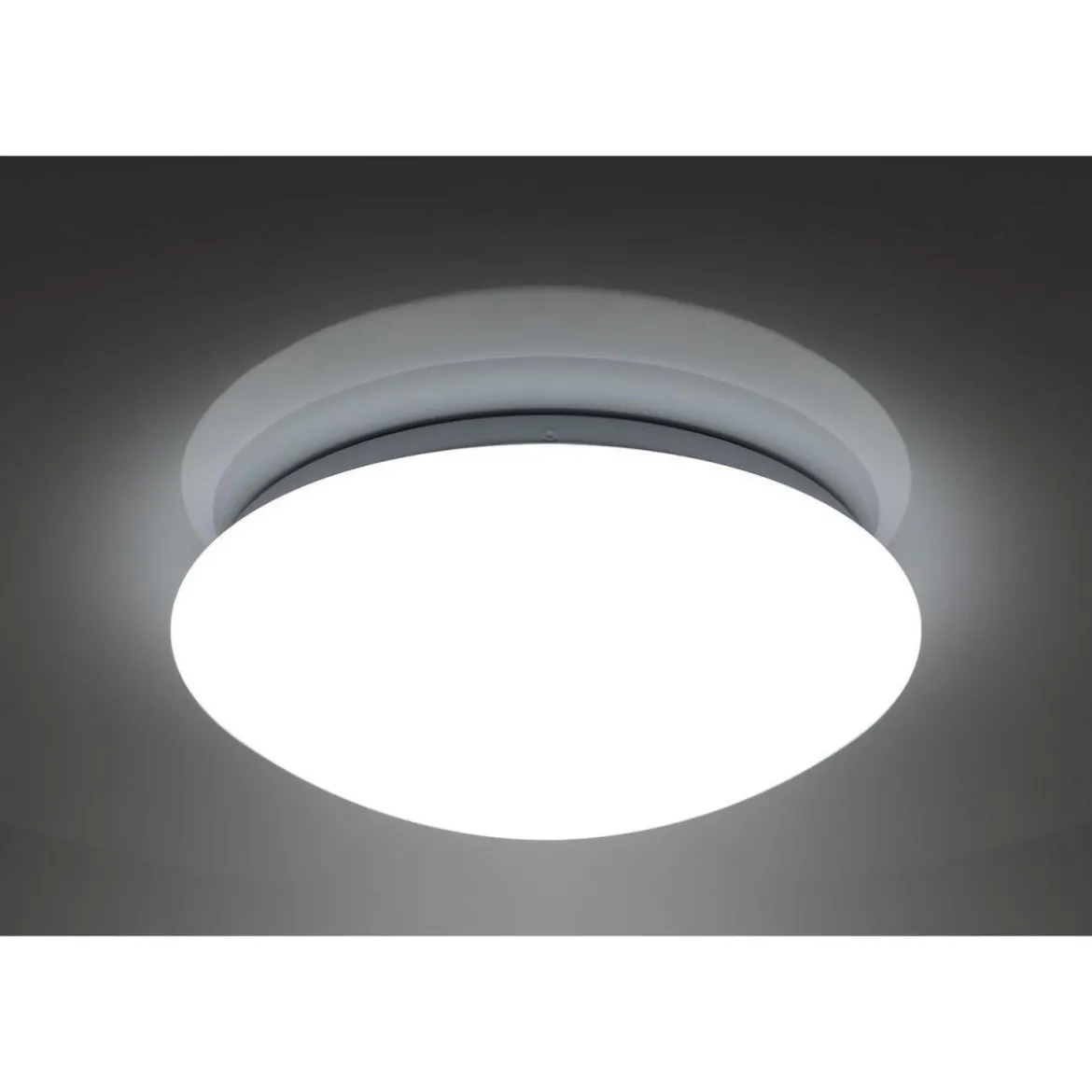 Flector LED-Wand- und Deckenleuchte Sandy dimmbar 30 cm