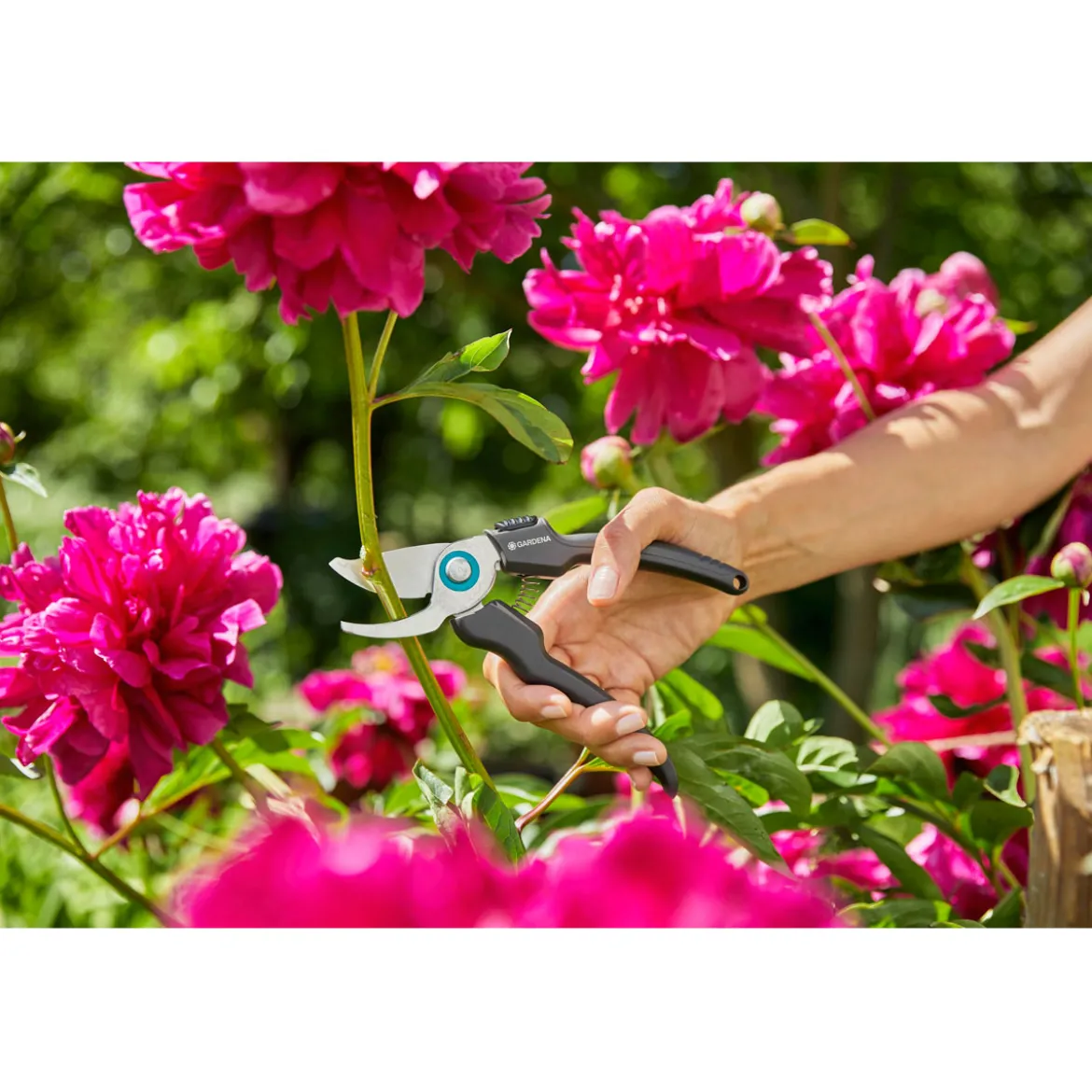 GardenaGartenschere EcoLine