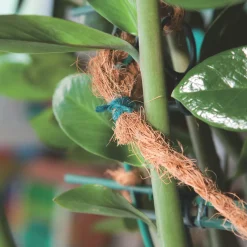 Gartenschnur Jute grün