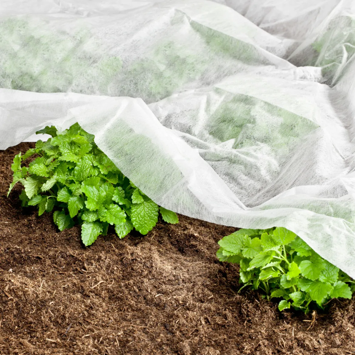 Garten-Vlies 10x1,5 mweiß AKTION