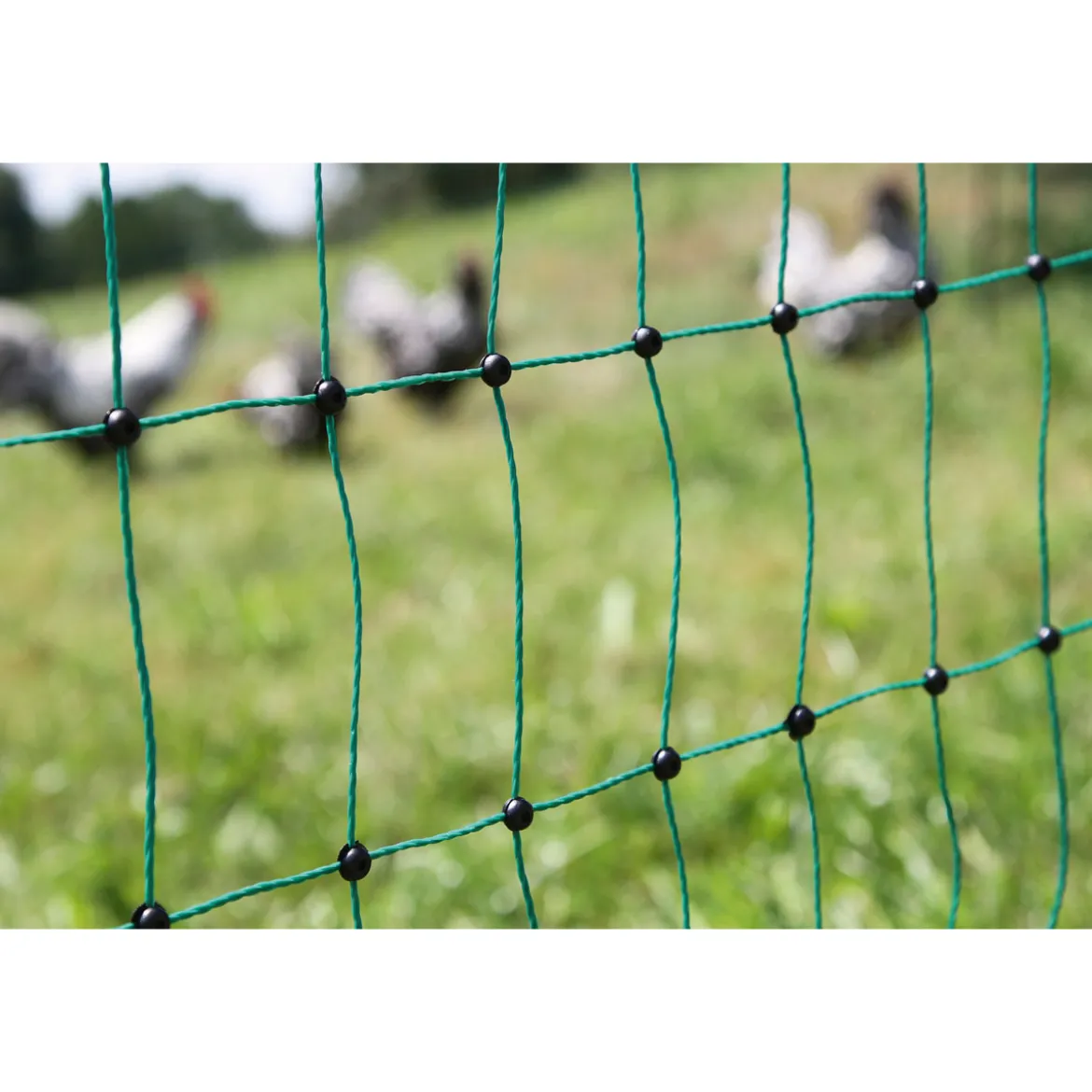 Geflügelnetz PoultryNet Doppelspitze 106 cm 50 m grün