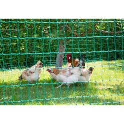 Geflügelnetz PoultryNet Doppelspitze 106 cm 50 m grün