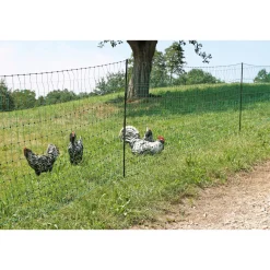 Geflügelnetz PoultryNet Doppelspitze 106 cm 50 m grün