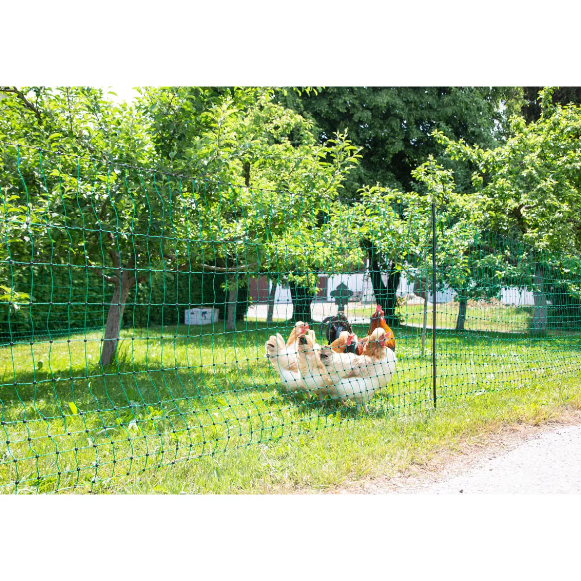 Geflügelnetz PoultryNet Doppelspitze 106 cm 50 m grün