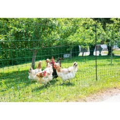 Geflügelnetz PoultryNet Doppelspitze 106 cm 50 m grün