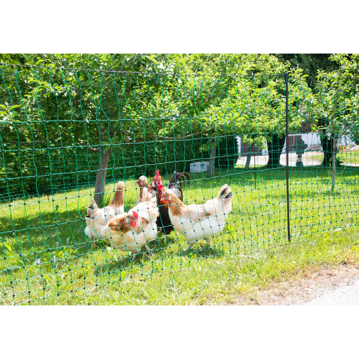 Geflügelnetz PoultryNet Doppelspitze 106 cm 50 m grün