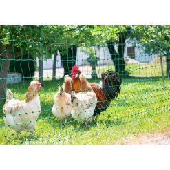 Geflügelnetz PoultryNet Doppelspitze 106 cm 50 m grün