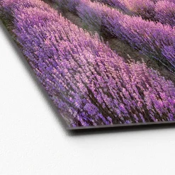Glas-Art Silence 50 x 50 Glasbild