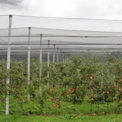 Hagelschutz-Netz 5x2m gruenMaschenweite 8mm