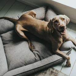 Hunter Hundesofa Prag grau 90 x 70 cm