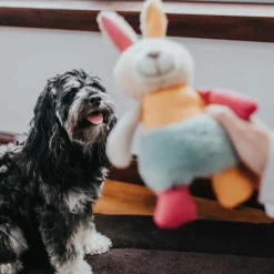 Hunter Hundespielzeug Muli Hase mehrfarbig 18 cm