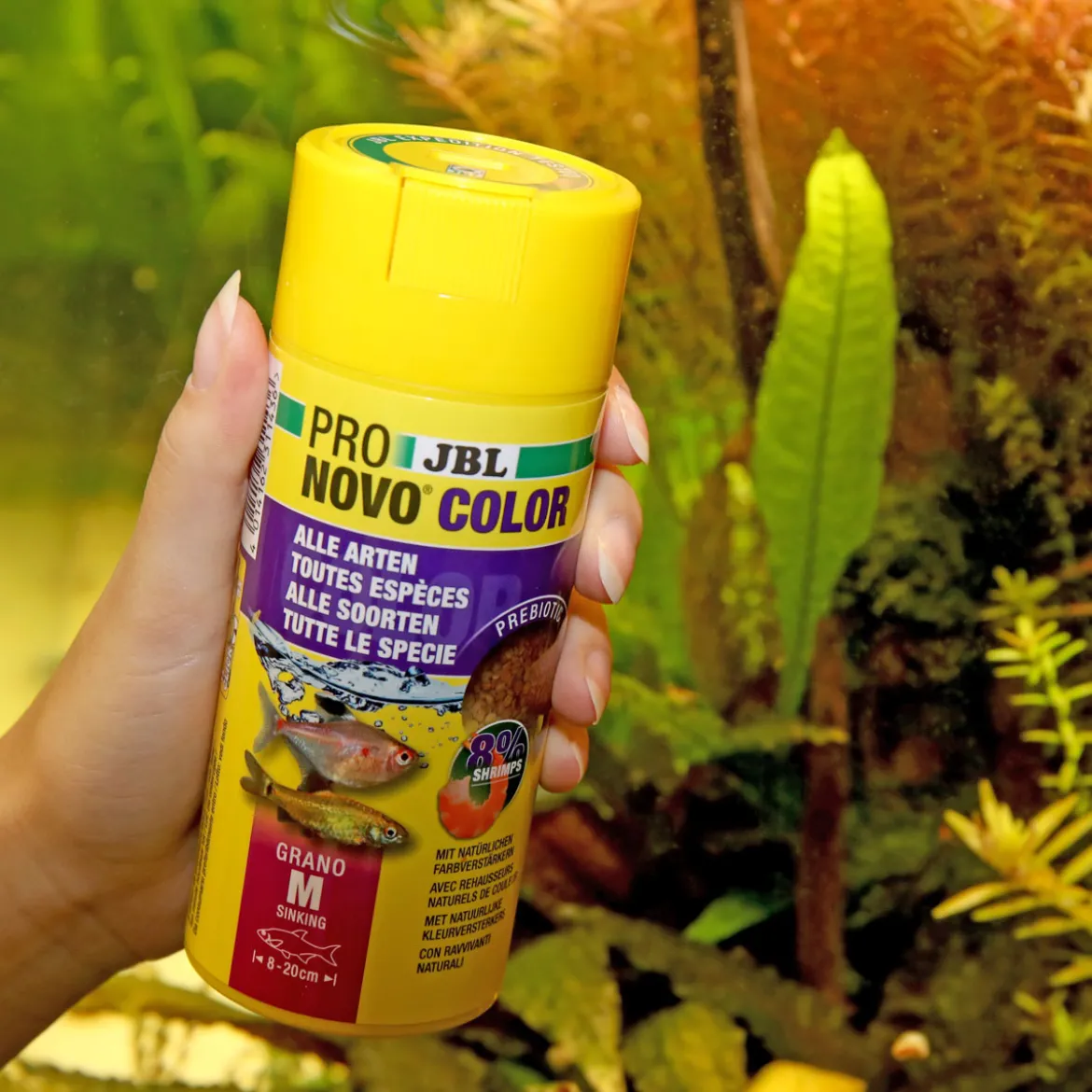 JBLPRONOVO COLOR GRANO M 250ml CLICK
