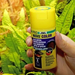 JBLPRONOVO COLOR GRANO S 100ml CLICK