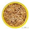 JBLPRONOVO FIL 100ml