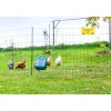 Kerbl Geflügelnetz-Set 50 m