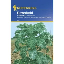 Kiepenkerl Futterkohl Westfälischer Furchenkohl