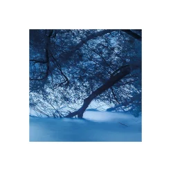 KomarVlies Fototapete Blue Waters 400x250 cm