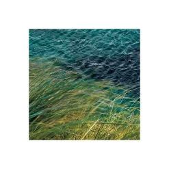 KomarVlies Fototapete Breath Taking 400x250 cm