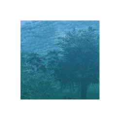 KomarVlies Fototapete Deep in the Jungle 400x280 cm