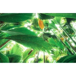 KomarVlies Fototapete Dschungeldach II 450x280 cm