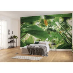 KomarVlies Fototapete Dschungeldach II 450x280 cm