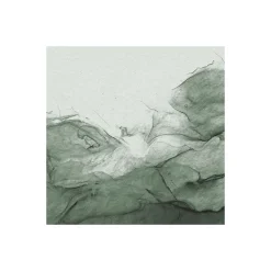 KomarVlies Fototapete Green Dust 300x280 cm