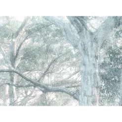 KomarVlies Fototapete Magic Trees 300x280 cm