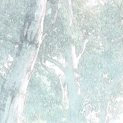 KomarVlies Fototapete Magic Trees 300x280 cm
