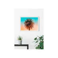 KomarWandbild Palm Tree 50x40 cm