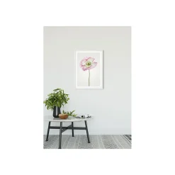 KomarWandbild Poppy 50x70 cm