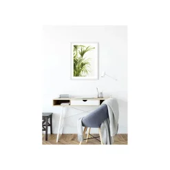 KomarWandbild Reed Leaves- 40x50 cm