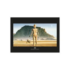 KomarWandbild Star Wars Classic Droids 70x50 cm