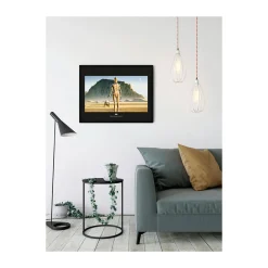 KomarWandbild Star Wars Classic Droids 70x50 cm