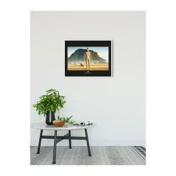KomarWandbild Star Wars Classic Droids 50x40 cm