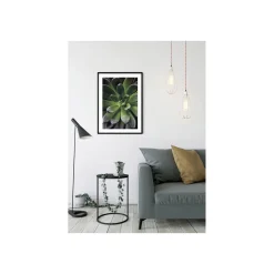 KomarWandbild Succulent Single 40x50 cm